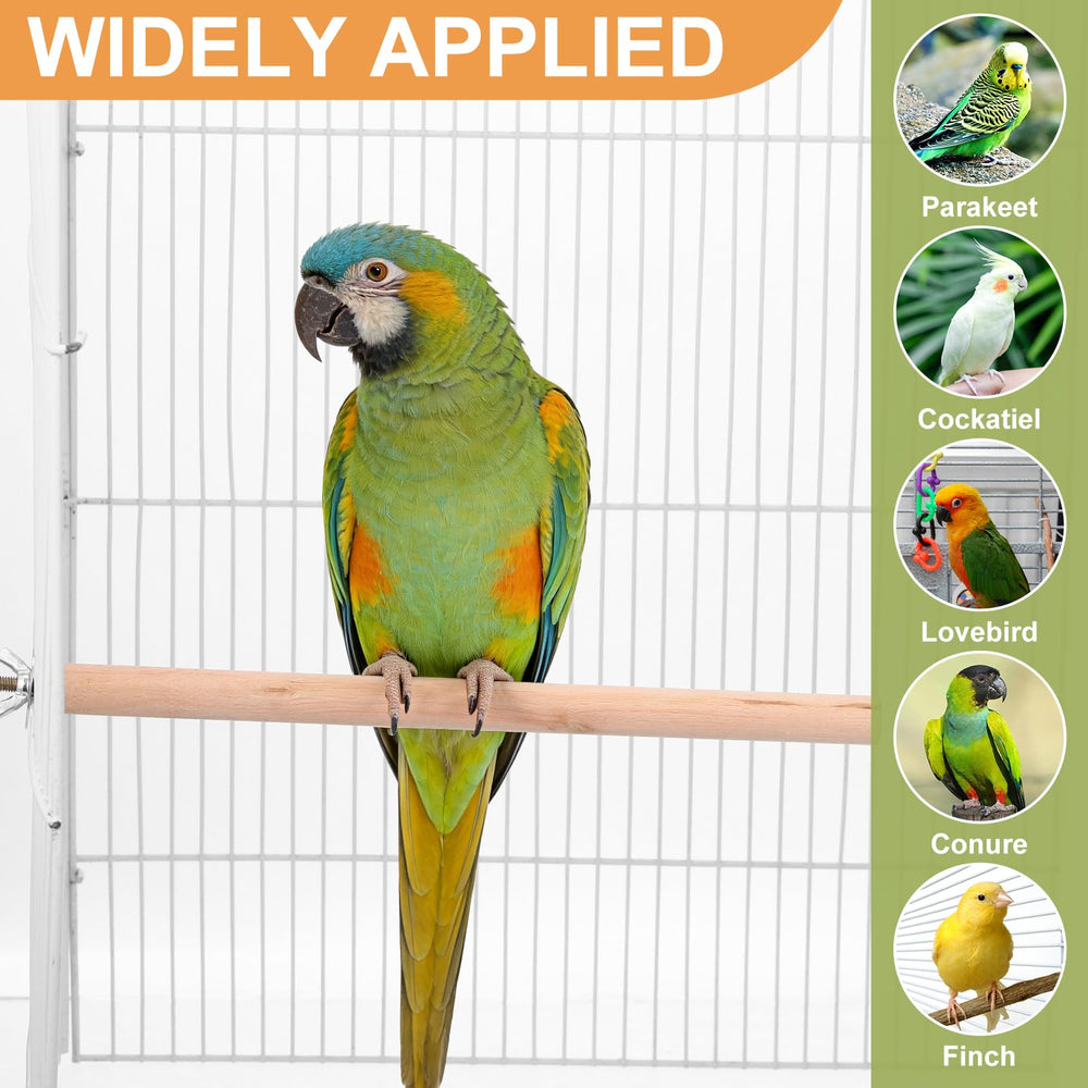 Angoily: percha de 6 pulgadas con superficie rugosa para aves.