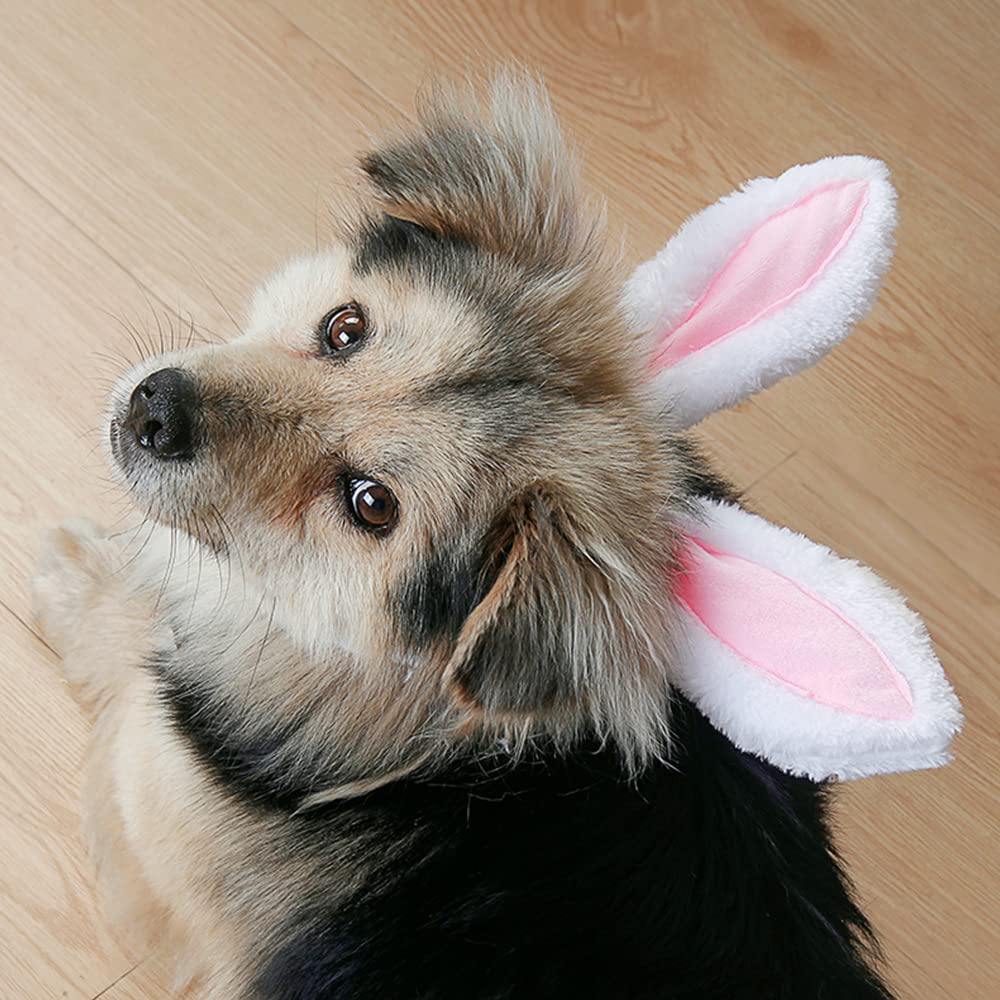 ANIAC diadema de conejo, material peluche suave, comodidad para tu mascota.