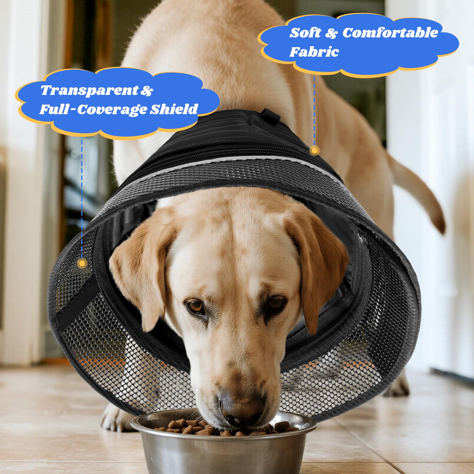Sistema de liberación seguro y ventilación del cono AnimaCure XL.