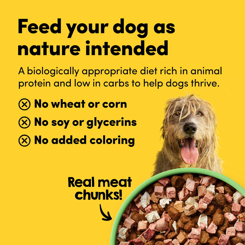Animals Like Us: corazones de cordero deshidratados para proteína de alta calidad.