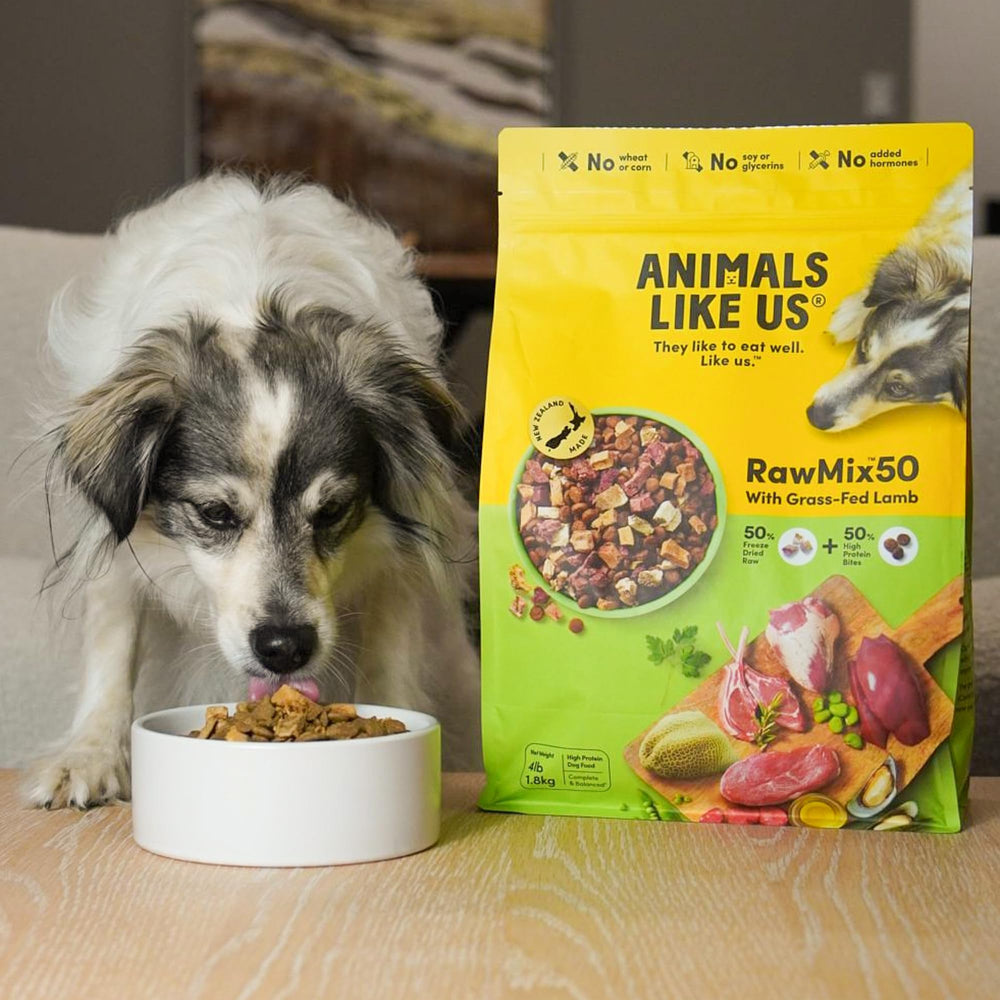 Animals Like Us RawMix50 perro disfrutando la comida, experiencia de sabor natural