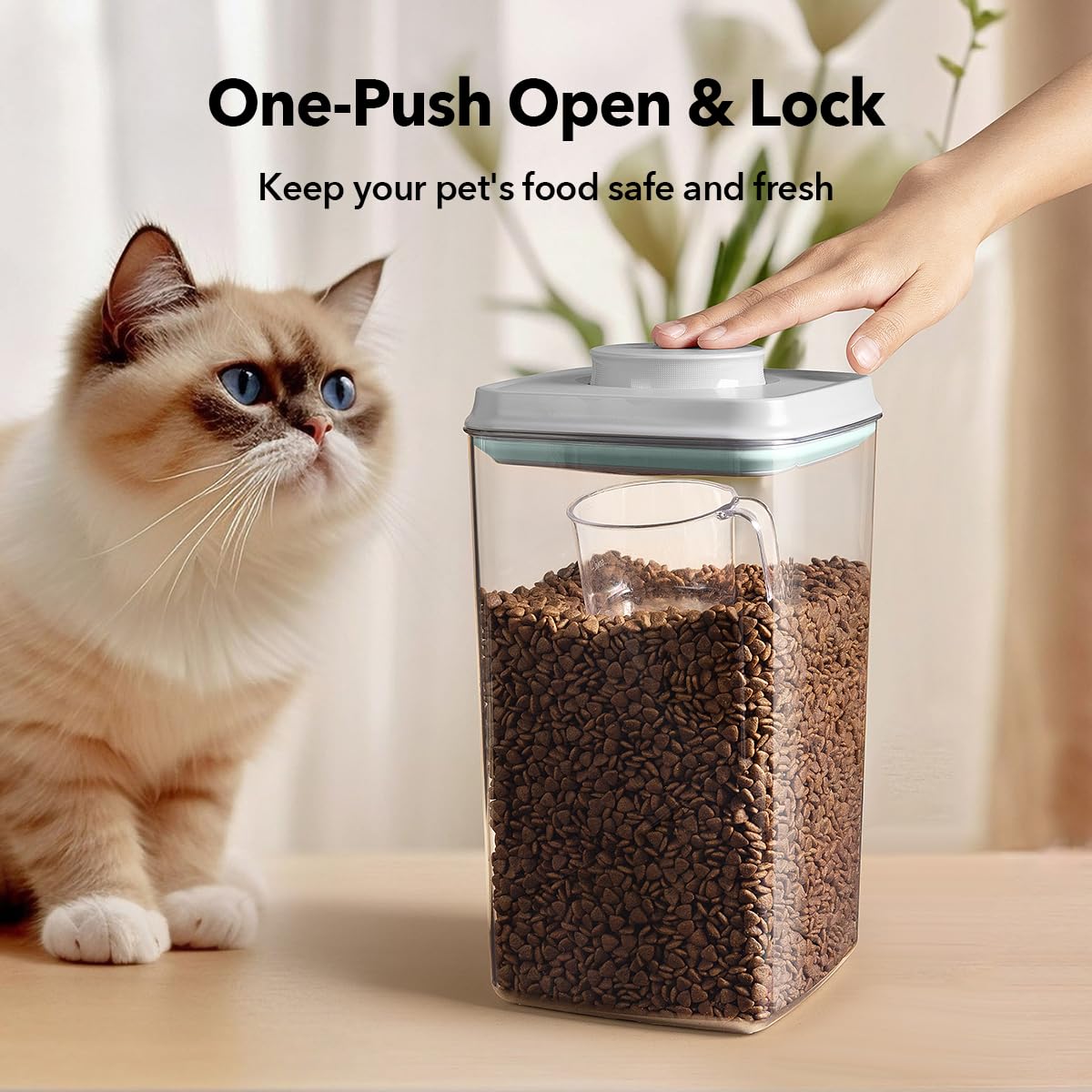 Ankou contenedor libre de BPA en PET seguro para alimentos