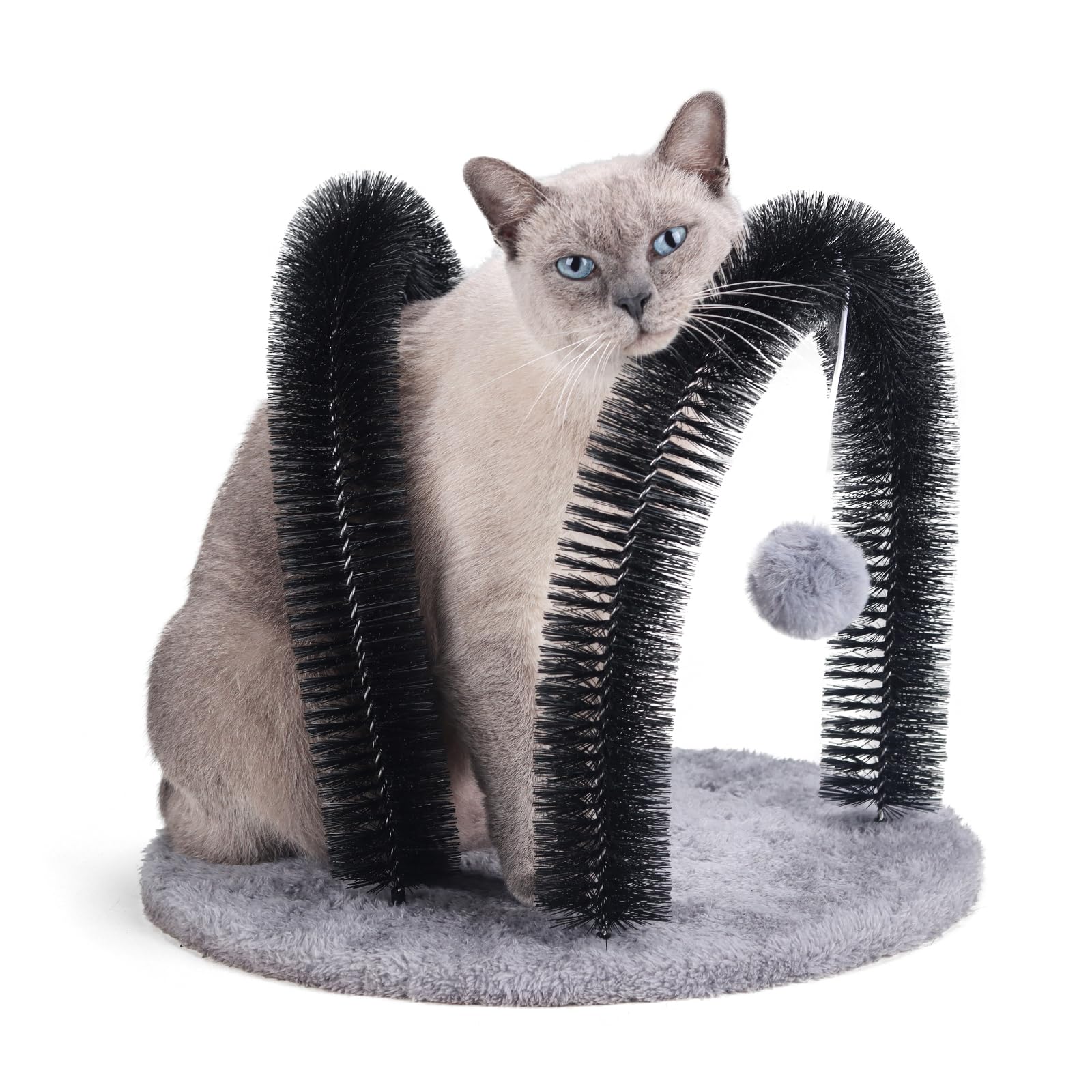 Ankuliy arco autocepillado para gatos, visión general del producto.