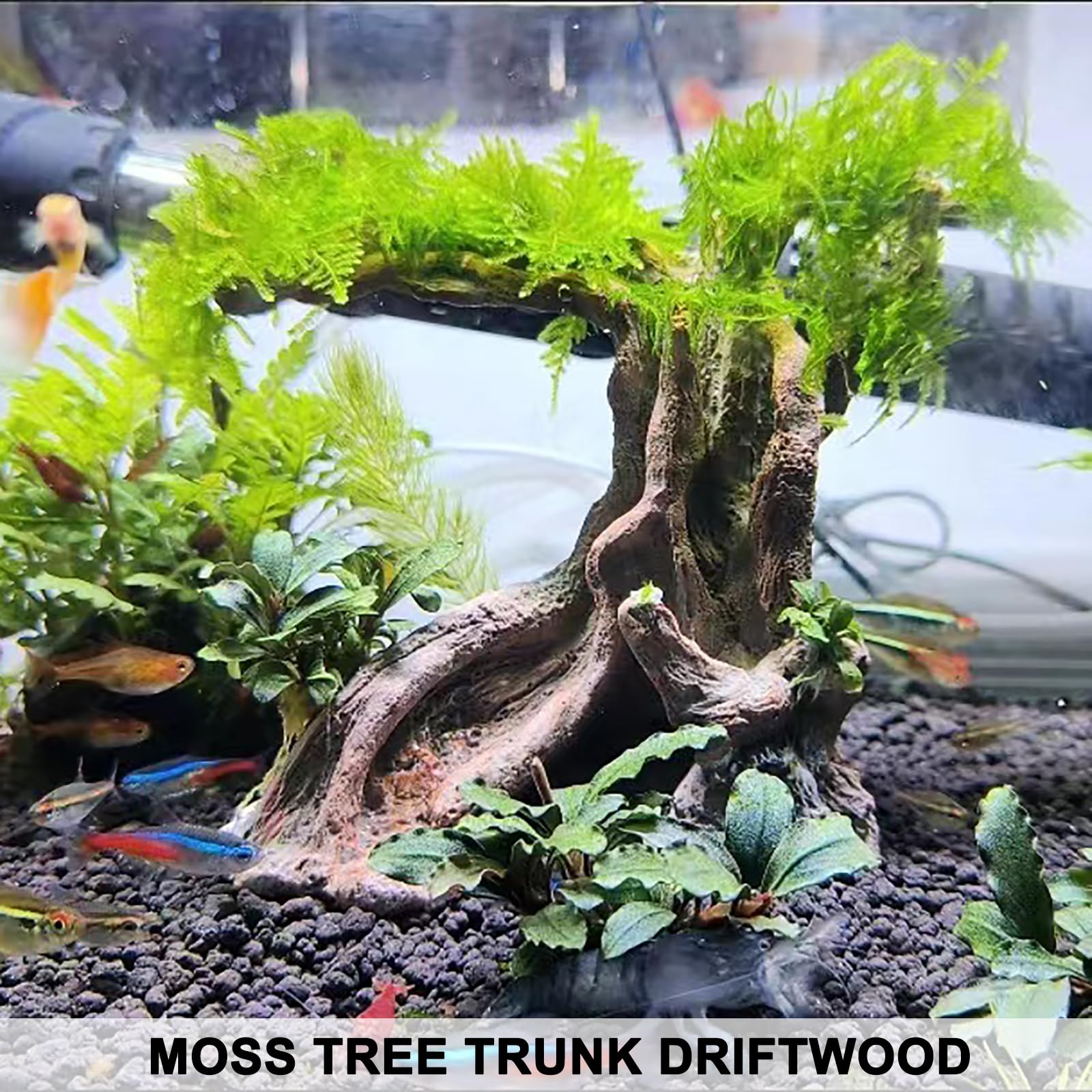 Anranmm decoración de tronco para terrario, ambiente natural y zonas de descanso.