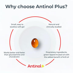 Antinol Plus: caja de presentación ideal para familiarizarse con el suplemento para perros.