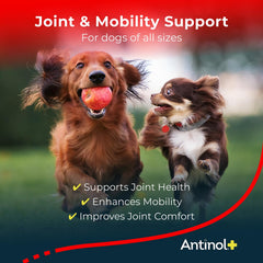 Antinol Plus: etiqueta frontal destacando beneficios para articulaciones y bienestar.