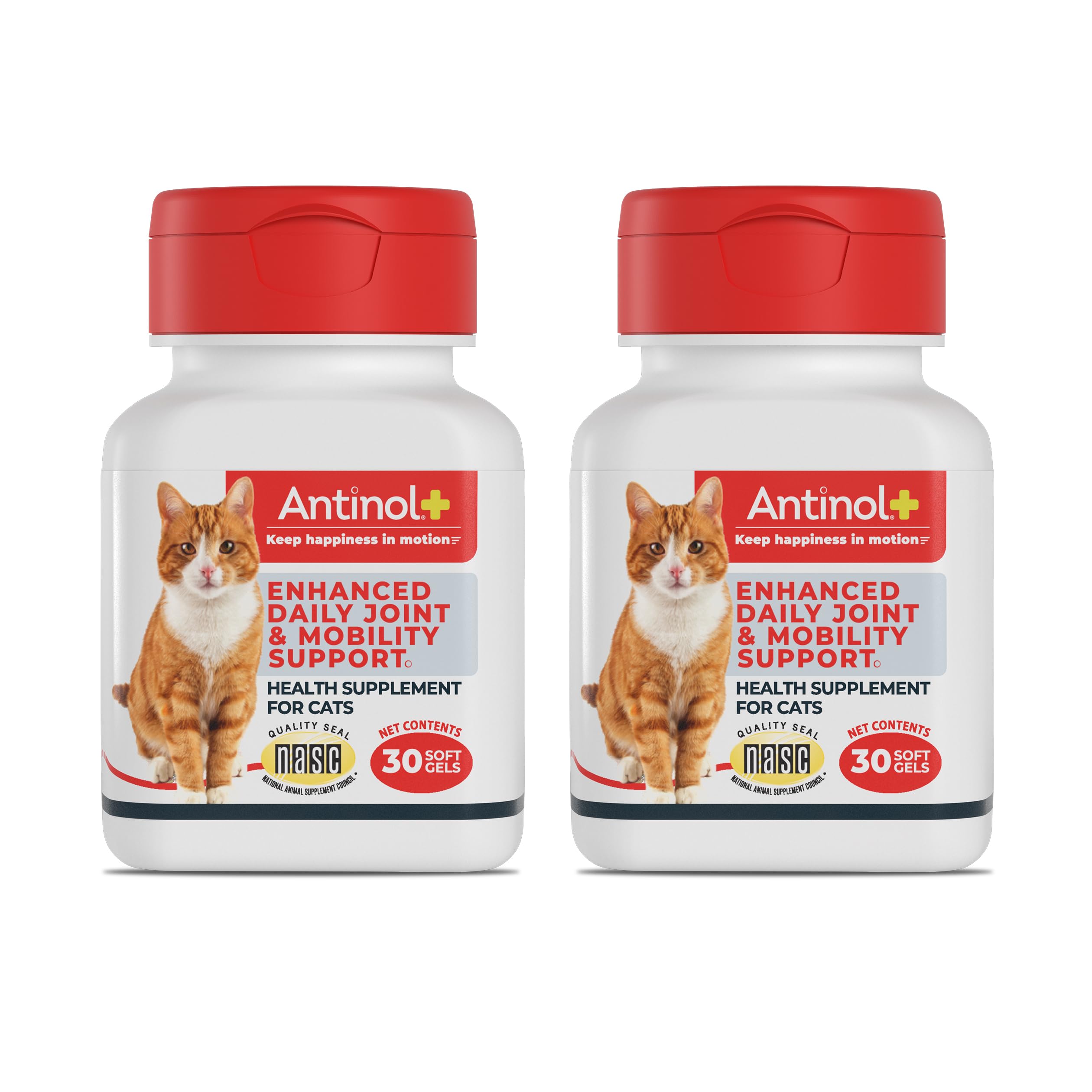 Antinol Plus: cápsulas blandas para gatos, apoyo a la movilidad diaria.