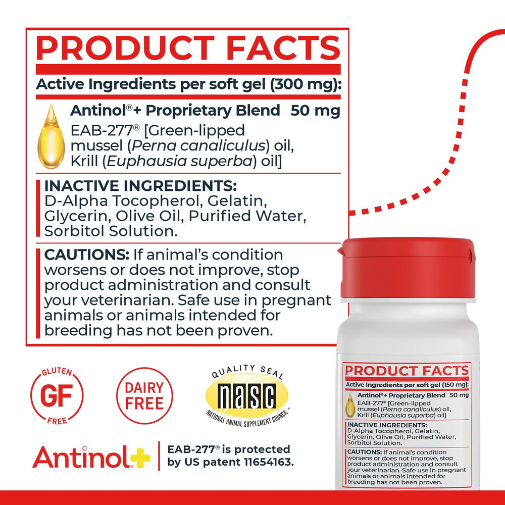 Antinol Plus: Omega-3 para un perfil nutricional felino.