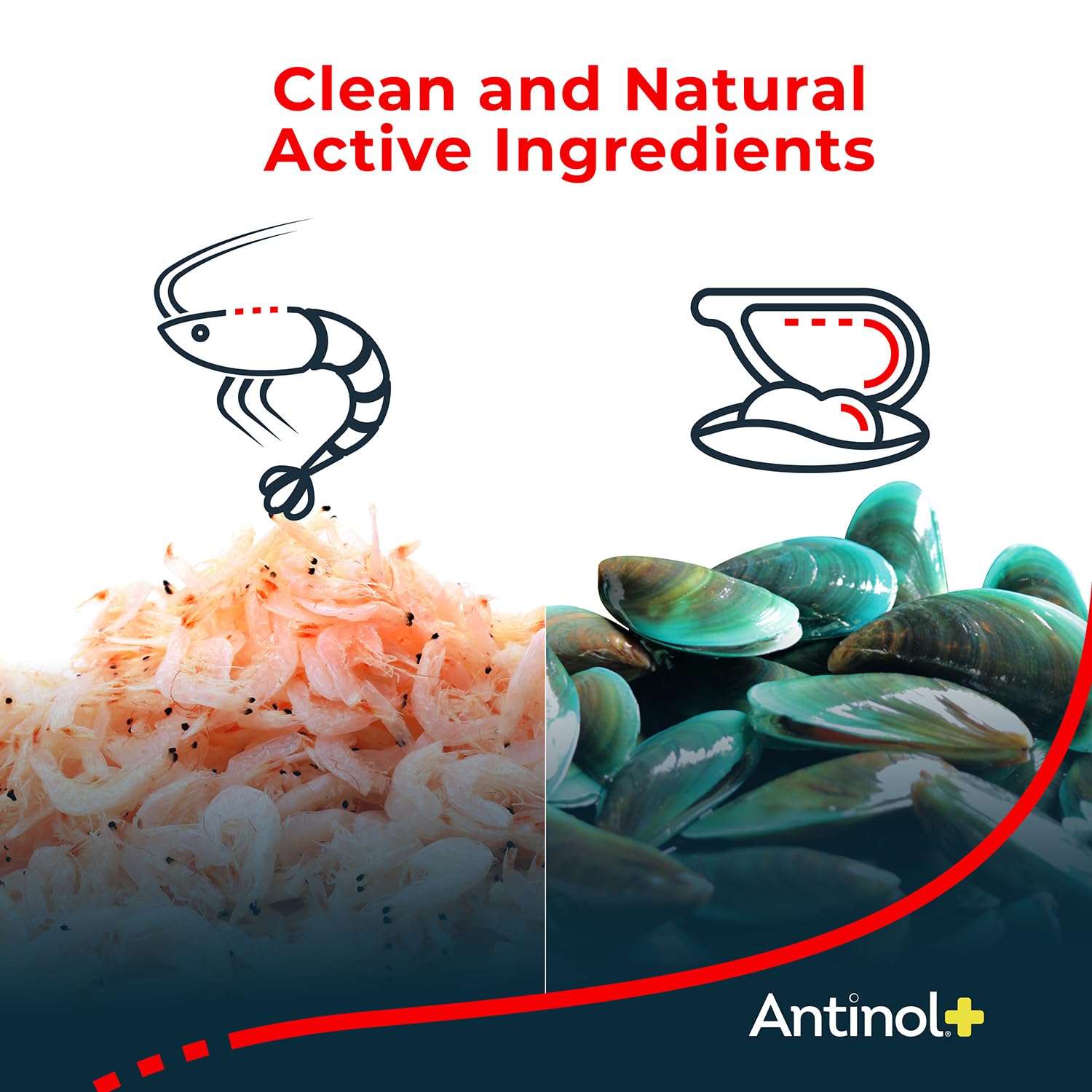 Antinol Plus krill antártico omega-3 para salud articular.