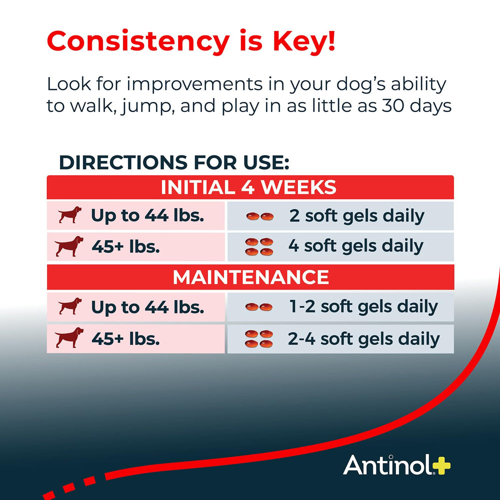 Antinol Plus: perro usando suplemento para apoyo diario de movilidad y comodidad.