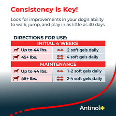 Antinol Plus: perro usando suplemento para apoyo diario de movilidad y comodidad.
