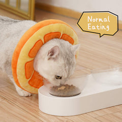 ANWA collar en forma de rosquilla para gatitos, cómodo y adorable.