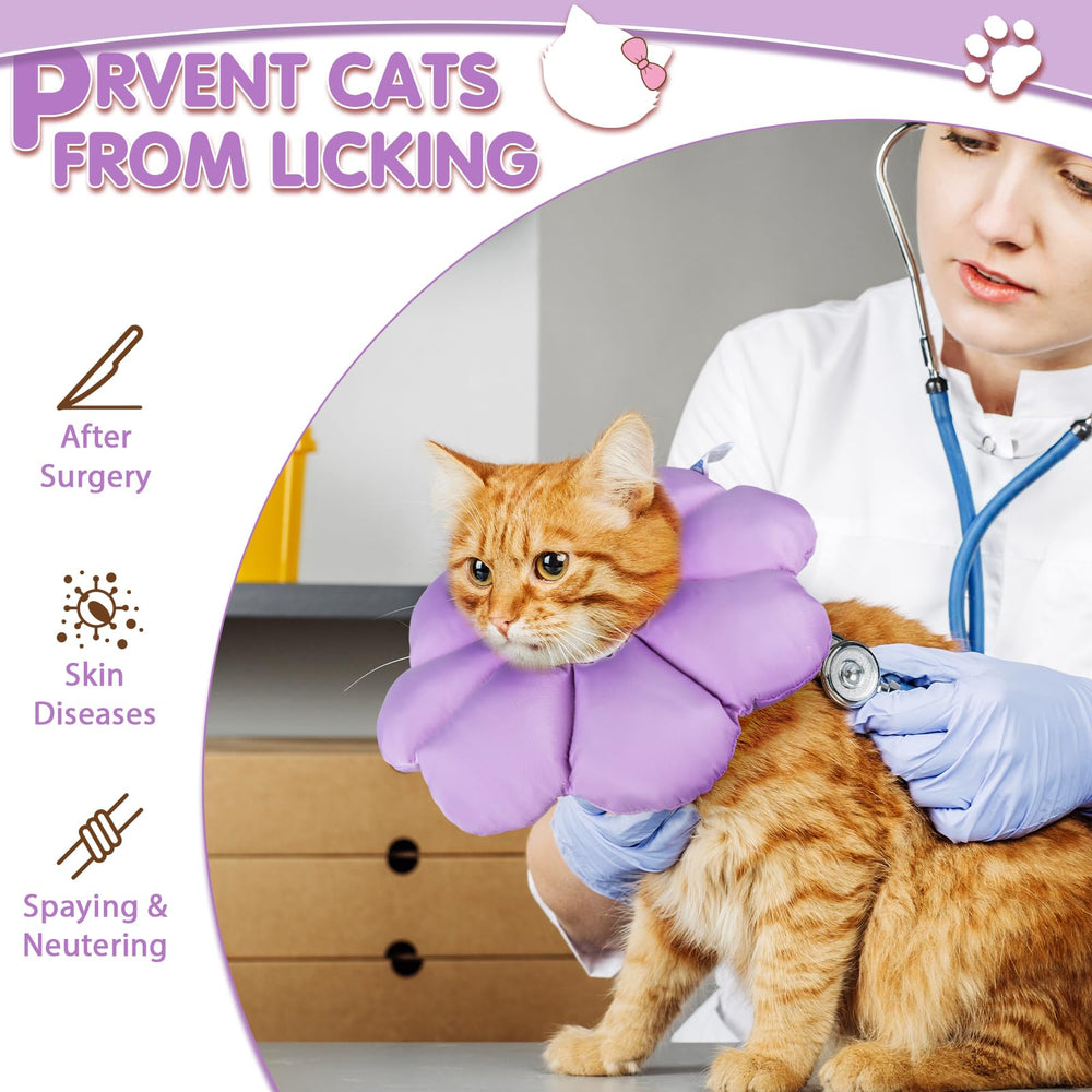 ANWA cono-gato-bordes-ondulados: protección extendida sin irritar la piel.