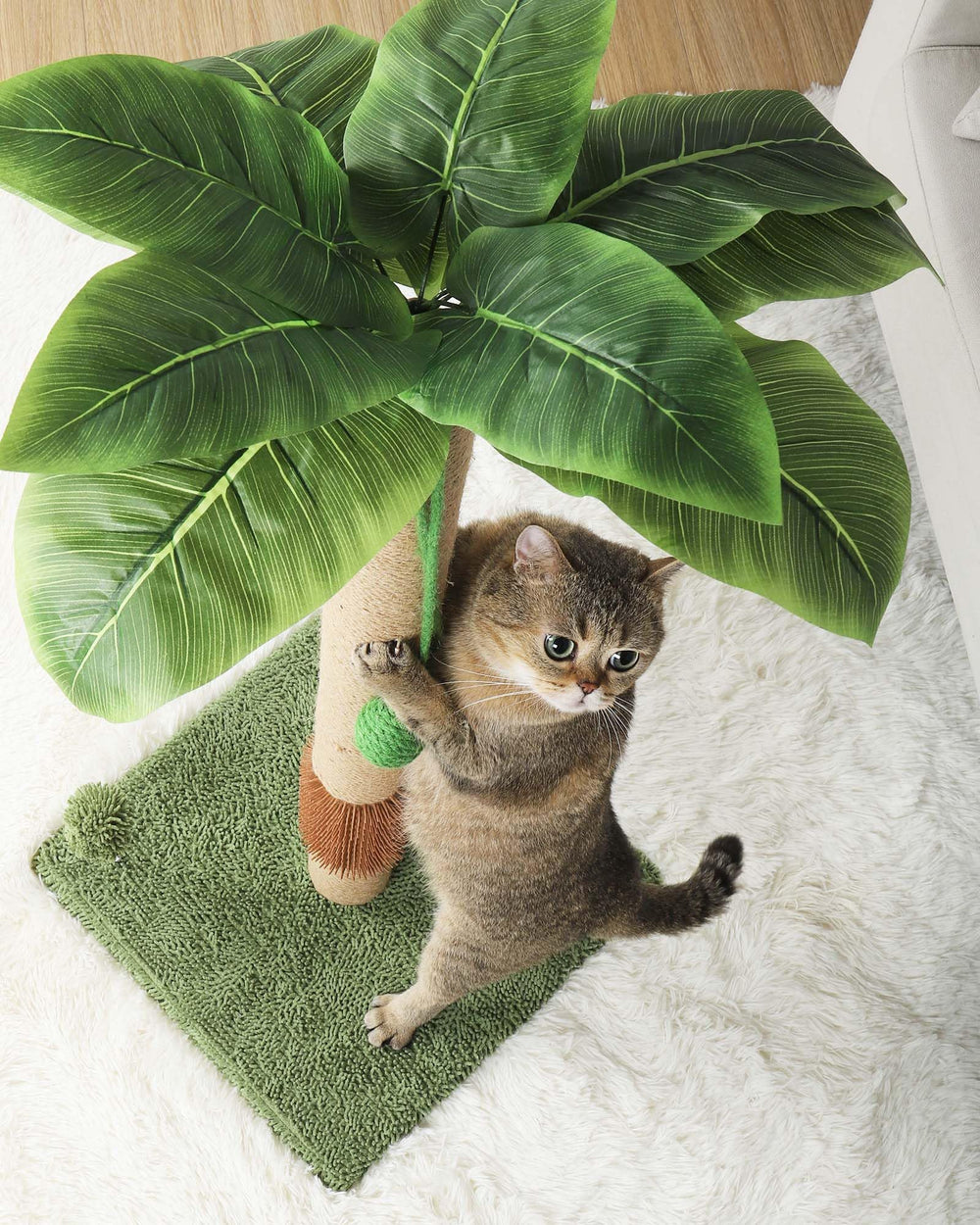 ANWA gatito disfrutando rascar, menos daños a muebles