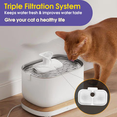 AnyEnjoy filtro gato con carbón activo purifica el agua de forma eficaz