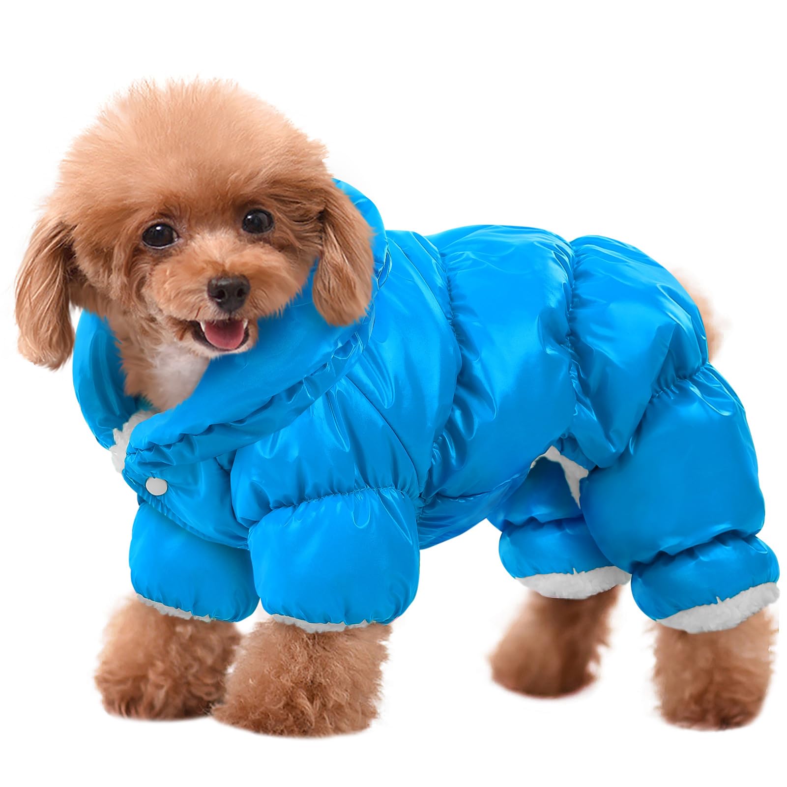 AOFITEE capa para perro invierno, protección cálida para paseos diarios.