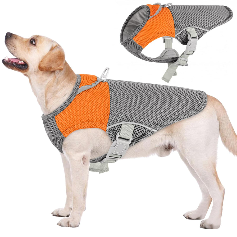 AOFITEE chaleco enfriador para perro con malla transpirable y buena ventilación.