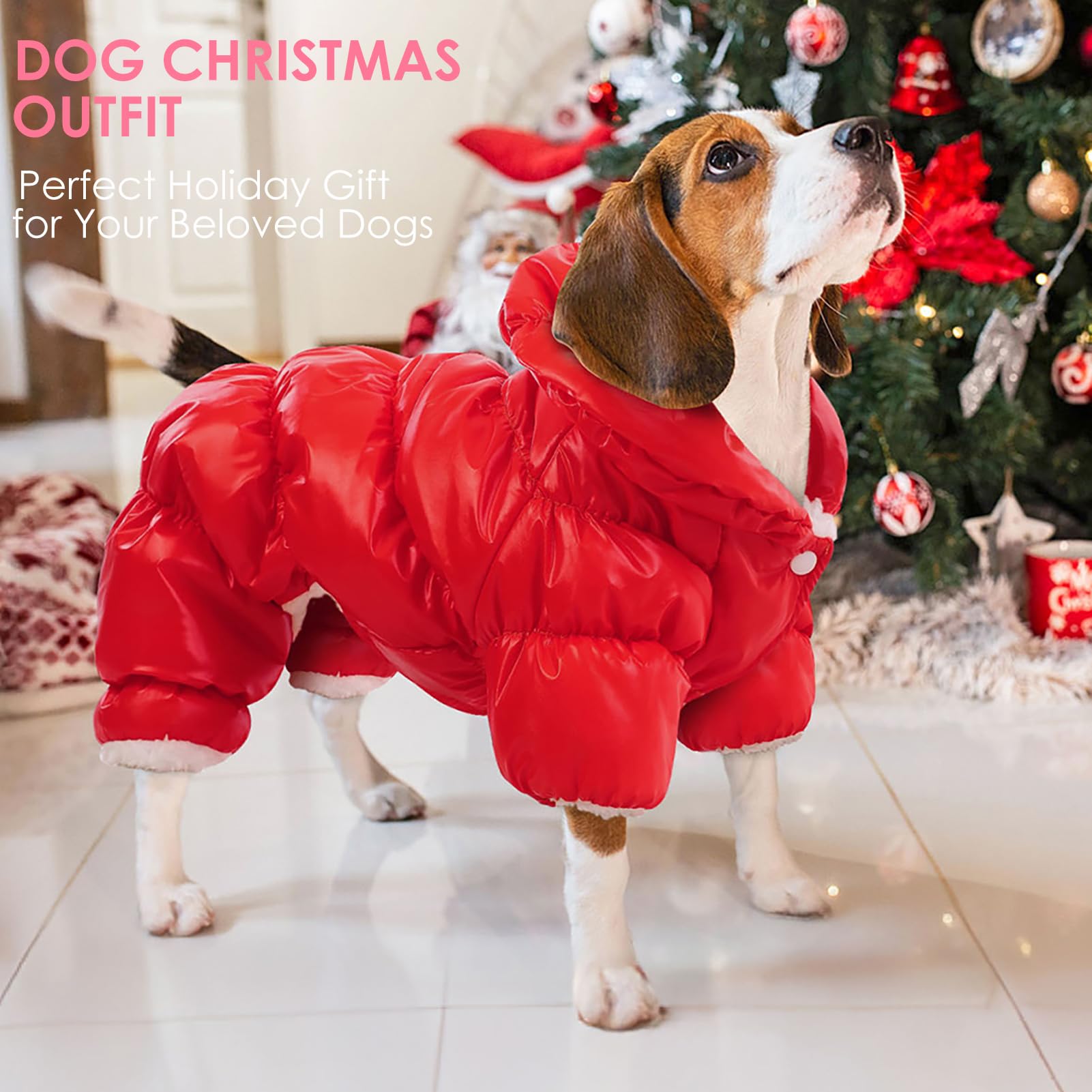 AOFITEE diseño elegante para mascotas pequeñas, ideal para salidas.