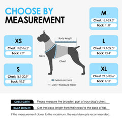 Diseño tiburón AOFITEE para perros en actividades acuáticas.