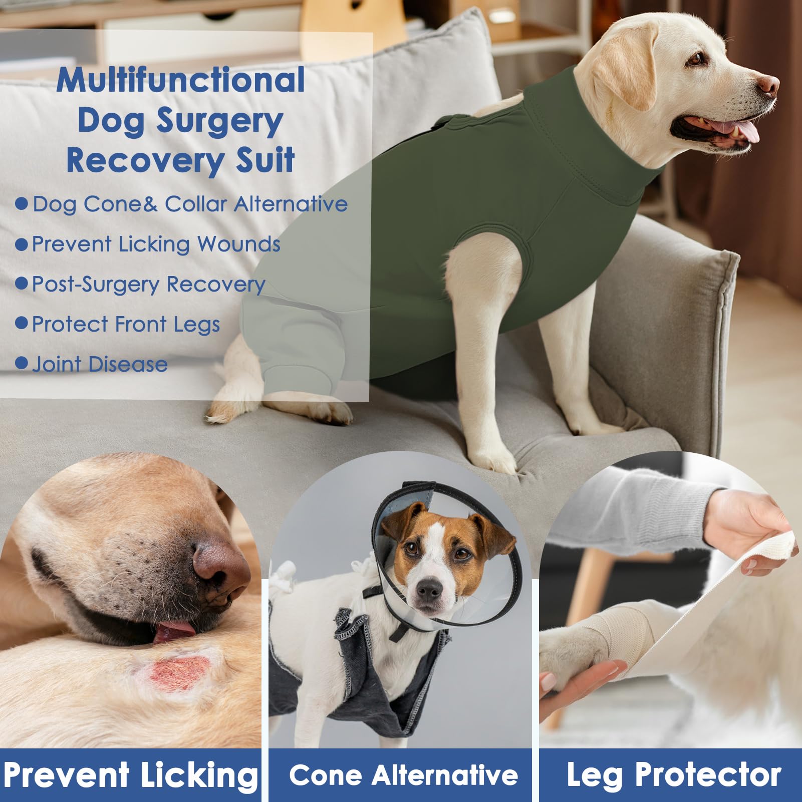 Solución alternativa al collar isabelino para la recuperación del perro.