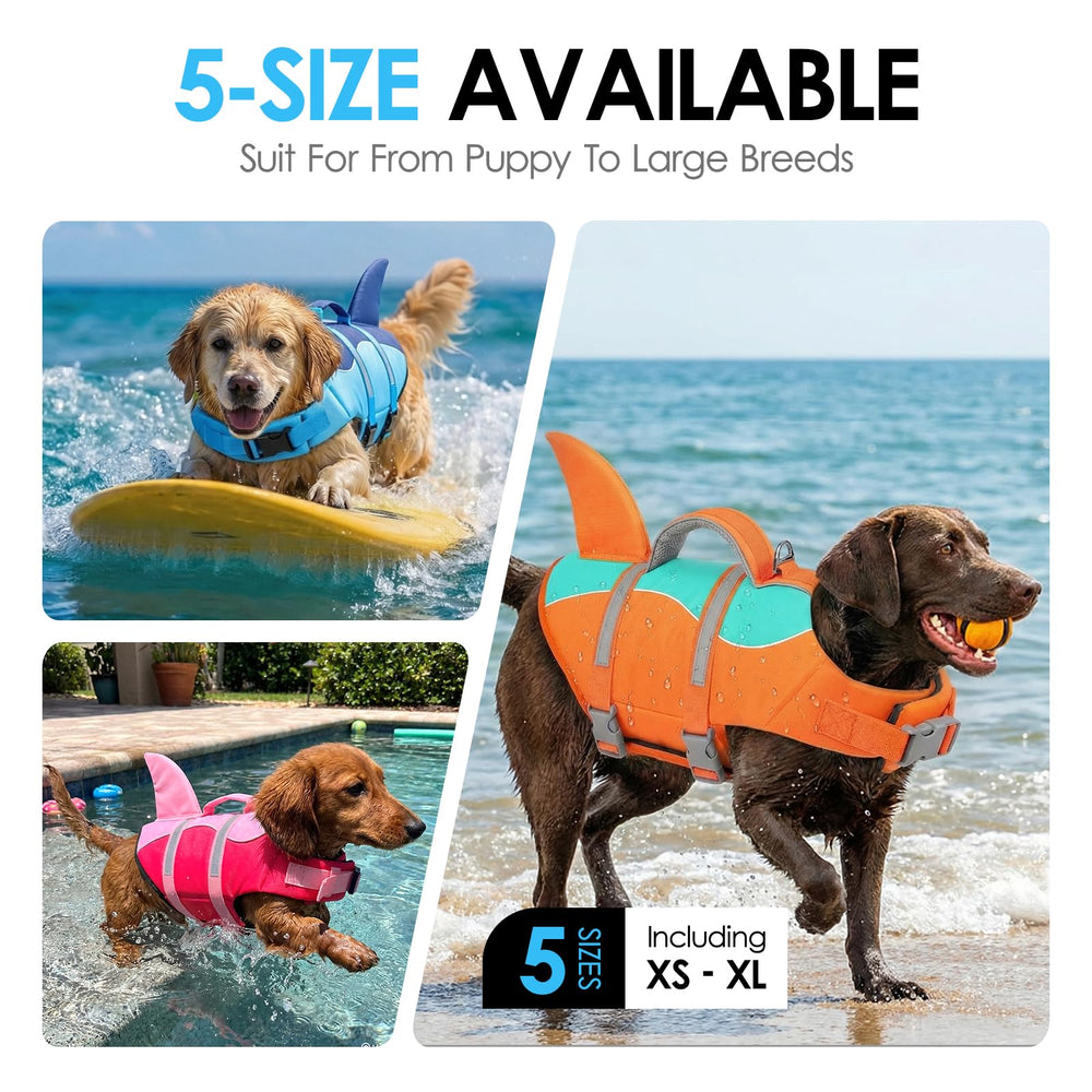 Cinco tallas disponibles AOFITEE para perros de todos los tamaños.