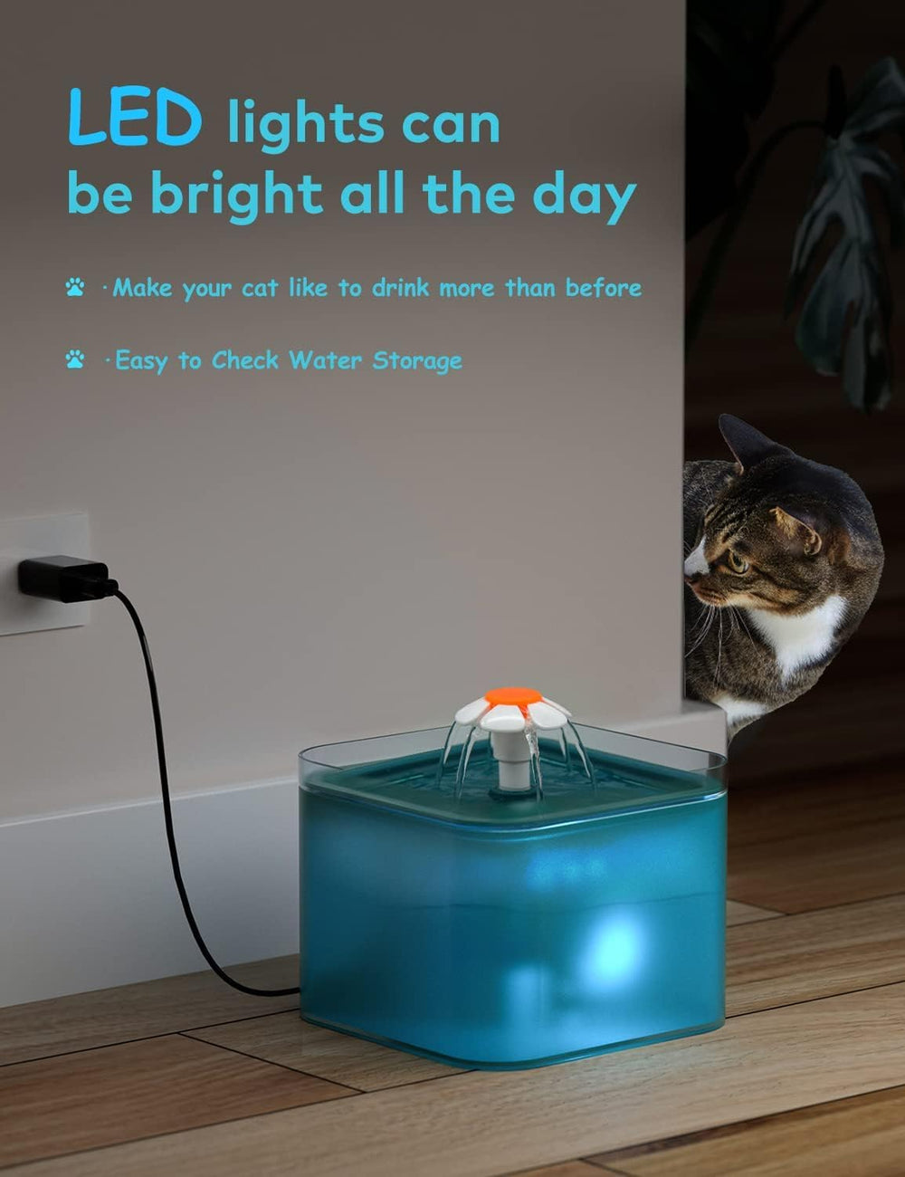 AONBOY fuente para gatos, ideal para hogares con varios animales.