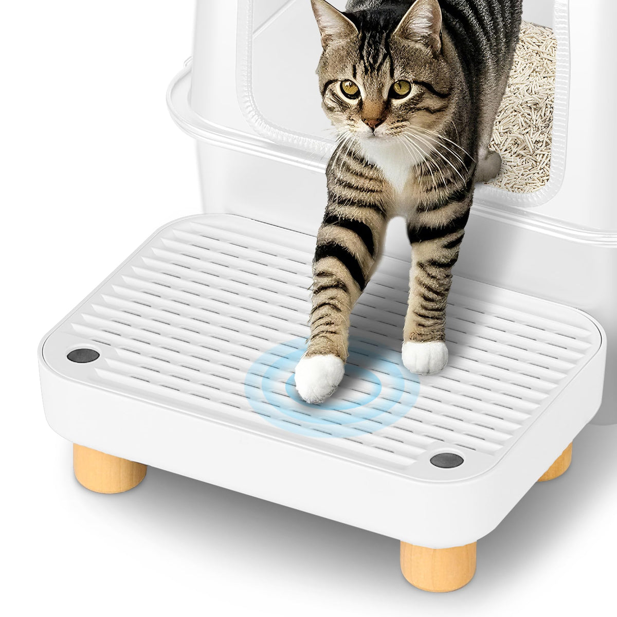 Aothey paso para caja de arena con base de madera estable para gatos.
