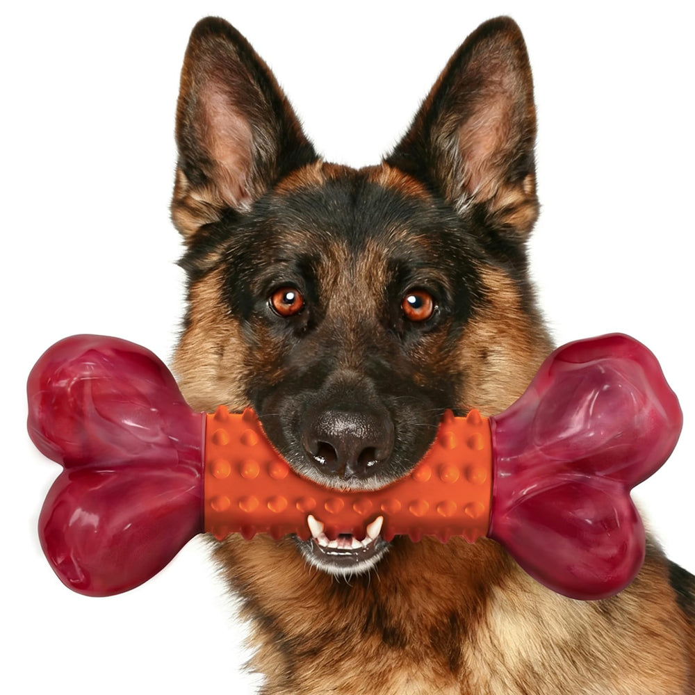 Jouet Apasiri os-chien-dur au goût cacahuète, longue durée pour gros chiens.