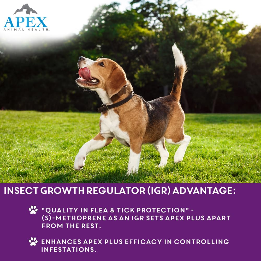 Apex Plus: aplicacion-facil en el pelaje del perro