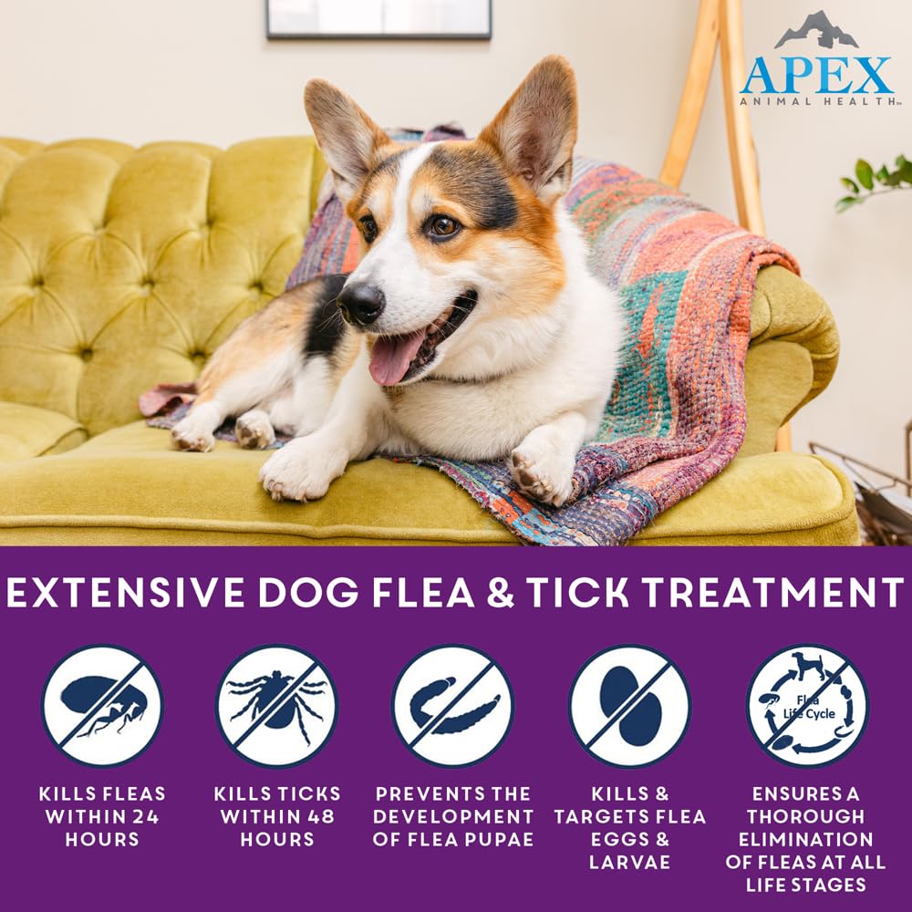 Apex Plus para perros: dosis grande para razas 20-40 kg