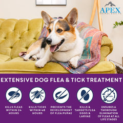 Apex Plus para perros: dosis grande para razas 20-40 kg