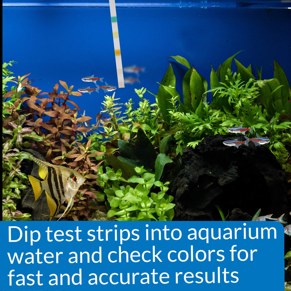 API 5‑en‑1 Tiras de prueba, uso sencillo para ajustes básicos del agua.