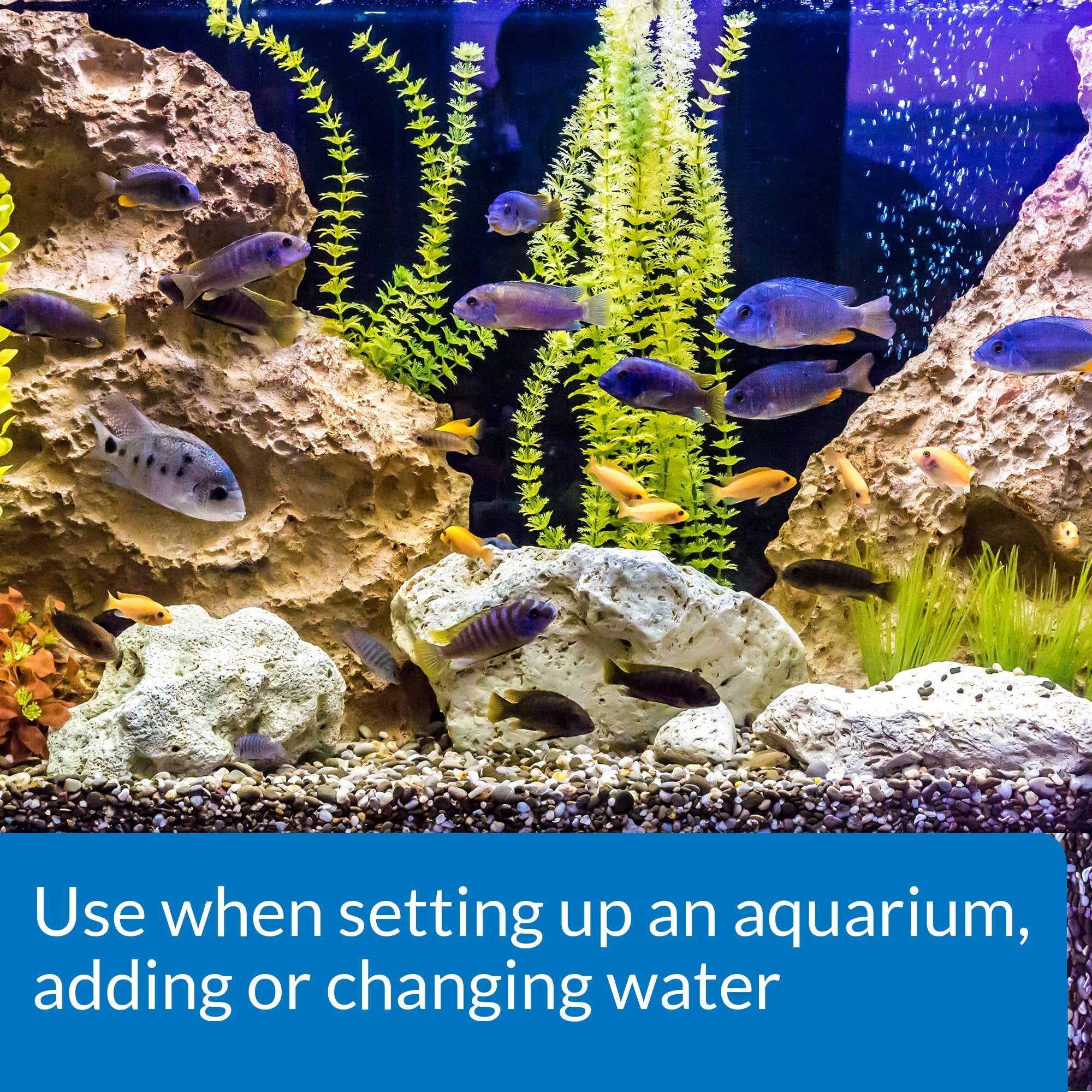 API Acondicionador de Agua para Acuario, uso en cambios de agua seguro para peces