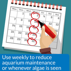 API ALGAEFIX control de algas en vidrio del acuario para un acuario limpio.