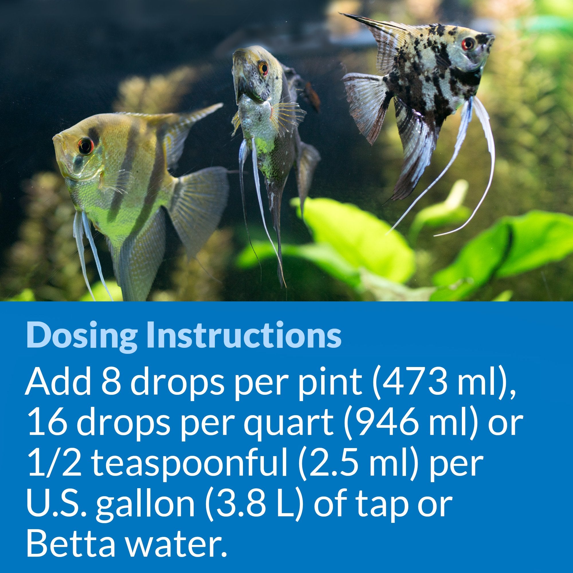 API Acondicionador de Agua Betta, aplicación al iniciar un nuevo acuario