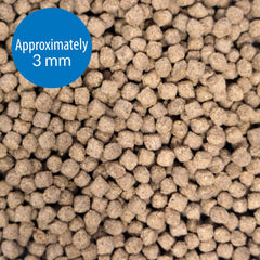 API Bottom Feeder Pellets con squid, mussel y alga para sabor y nutrición