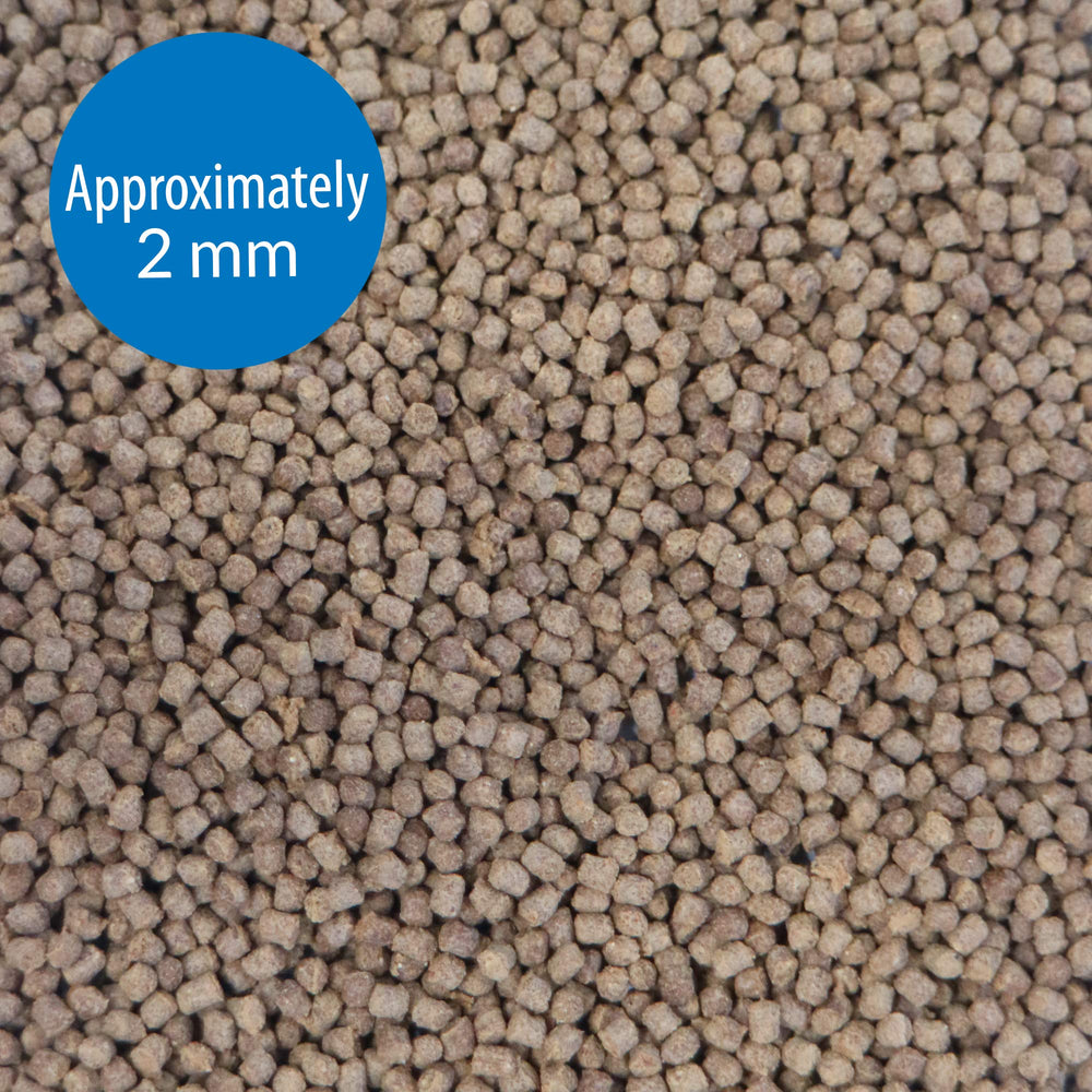 API CICHLID PELLETS alimento para cíclidos con palatabilidad