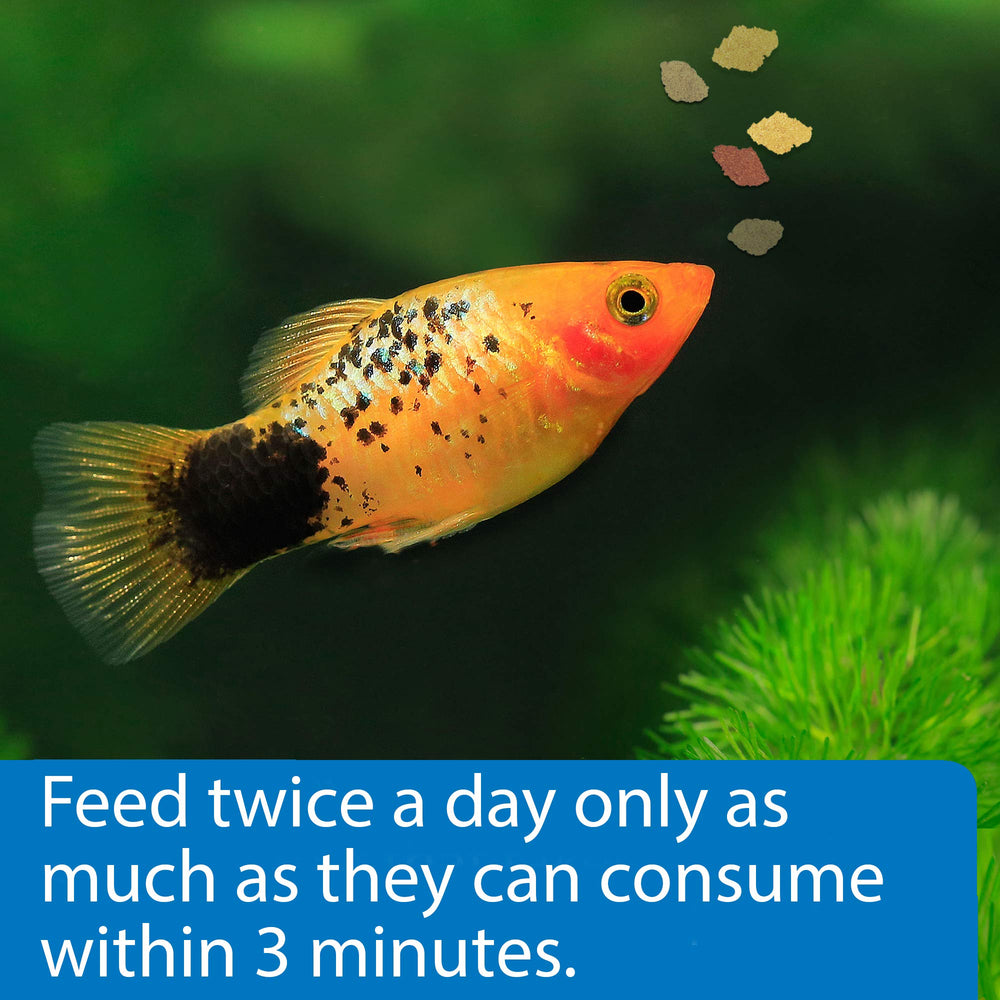 API Copos Tropicales: fórmula que favorece una digestión eficiente y menos residuos.