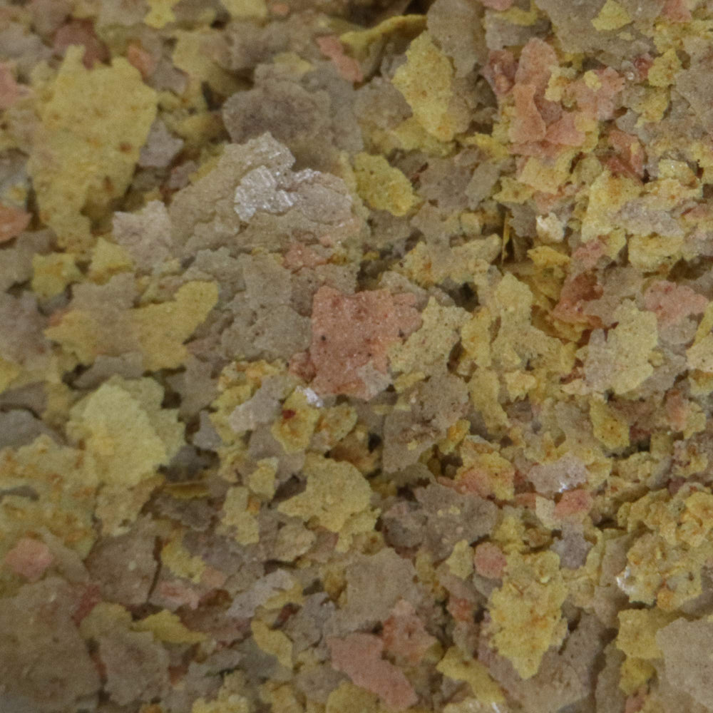 API Tropical Greens Flakes: colores brillantes en los peces gracias a las algas.
