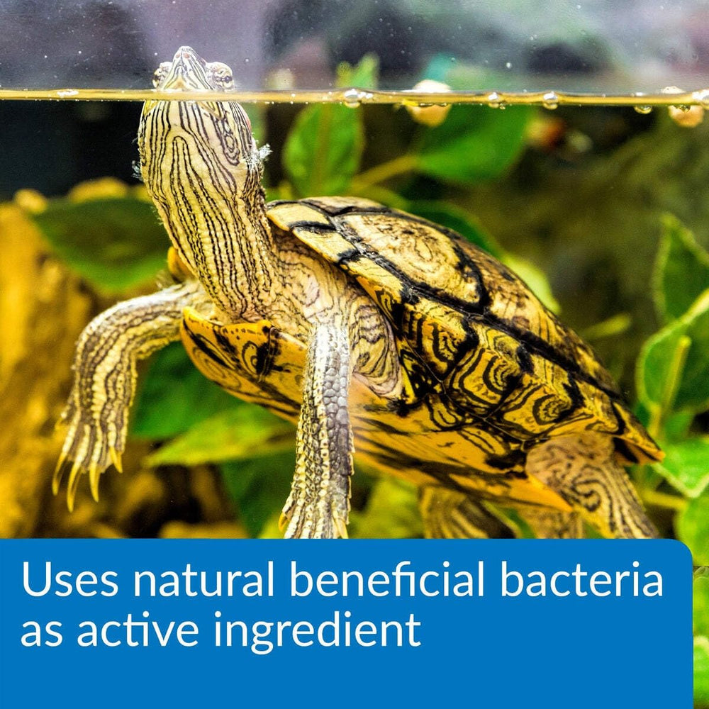 API Desintegrador de lodo para tortugas, contiene bacterias beneficiosas