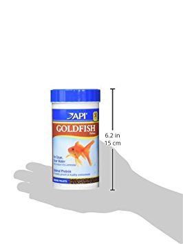 Alimento API GOLDFISH alimentando peces dorados; agua más clara gracias a menos residuos