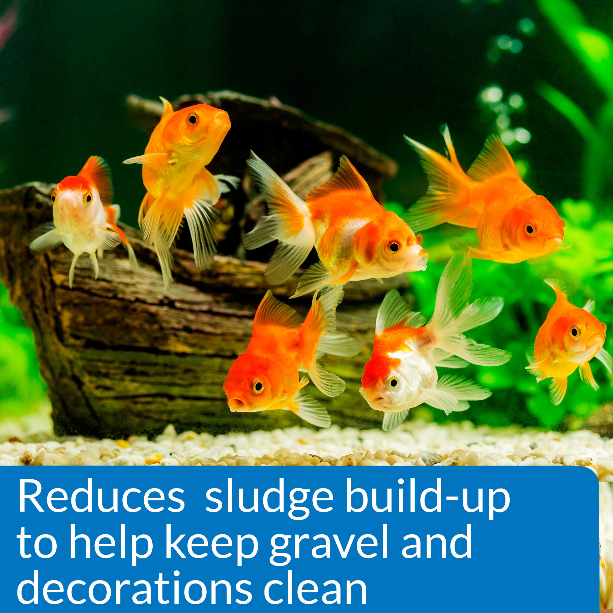 API GOLDFISH PROTECT: capa protectora del moco de los peces para mayor bienestar.