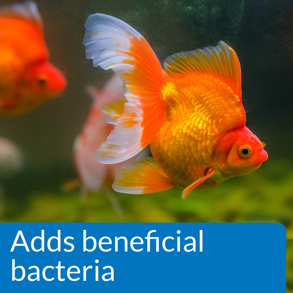 API limpiador de acuario para pez dorado, bacterias beneficiosas, favorecen ambiente estable