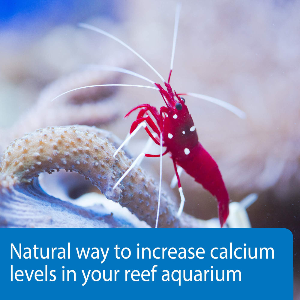 API Marine Calcium: apoyo a invertebrados marinos como caracoles y gambas