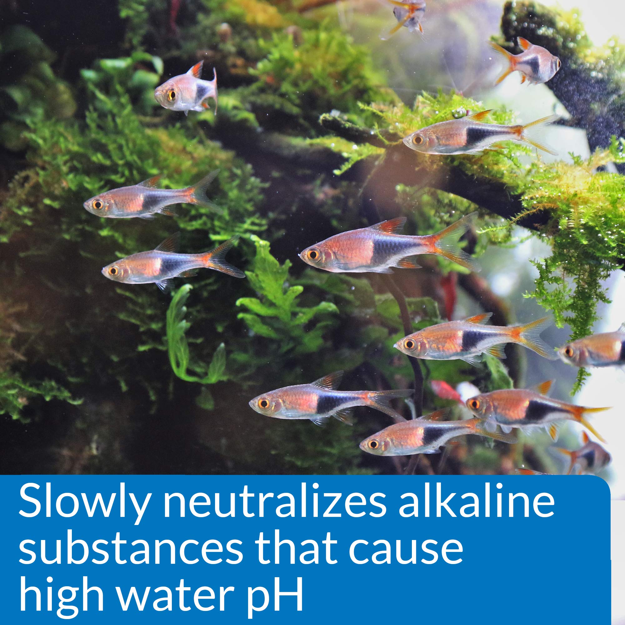 API pH Down aplicado en acuario de agua dulce para recrear niveles estables.