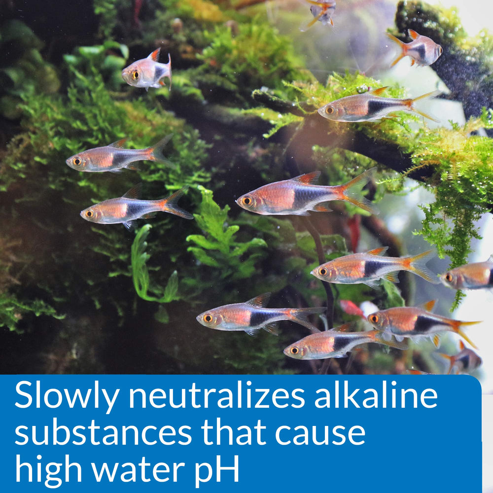 API pH Down aplicado en acuario de agua dulce para recrear niveles estables.