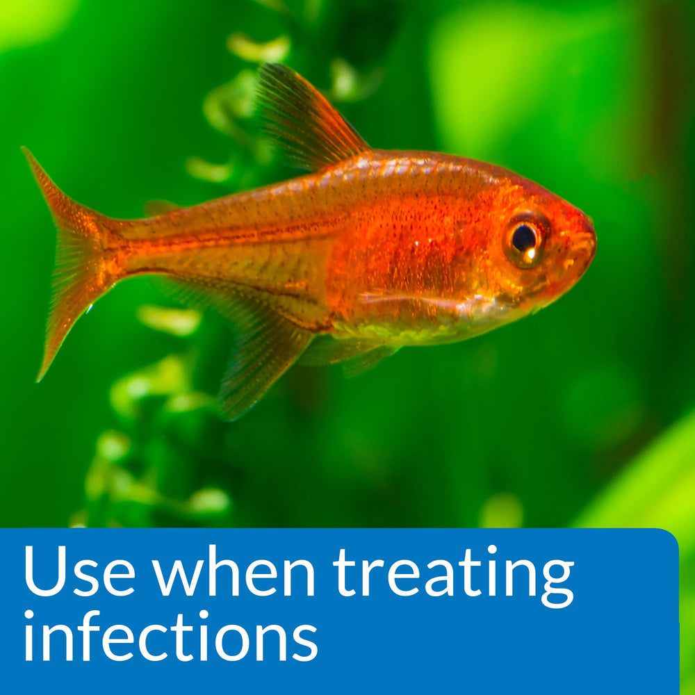 Aplicación en acuario con API PIMAFIX, ayuda a tratar infestaciones en peces.