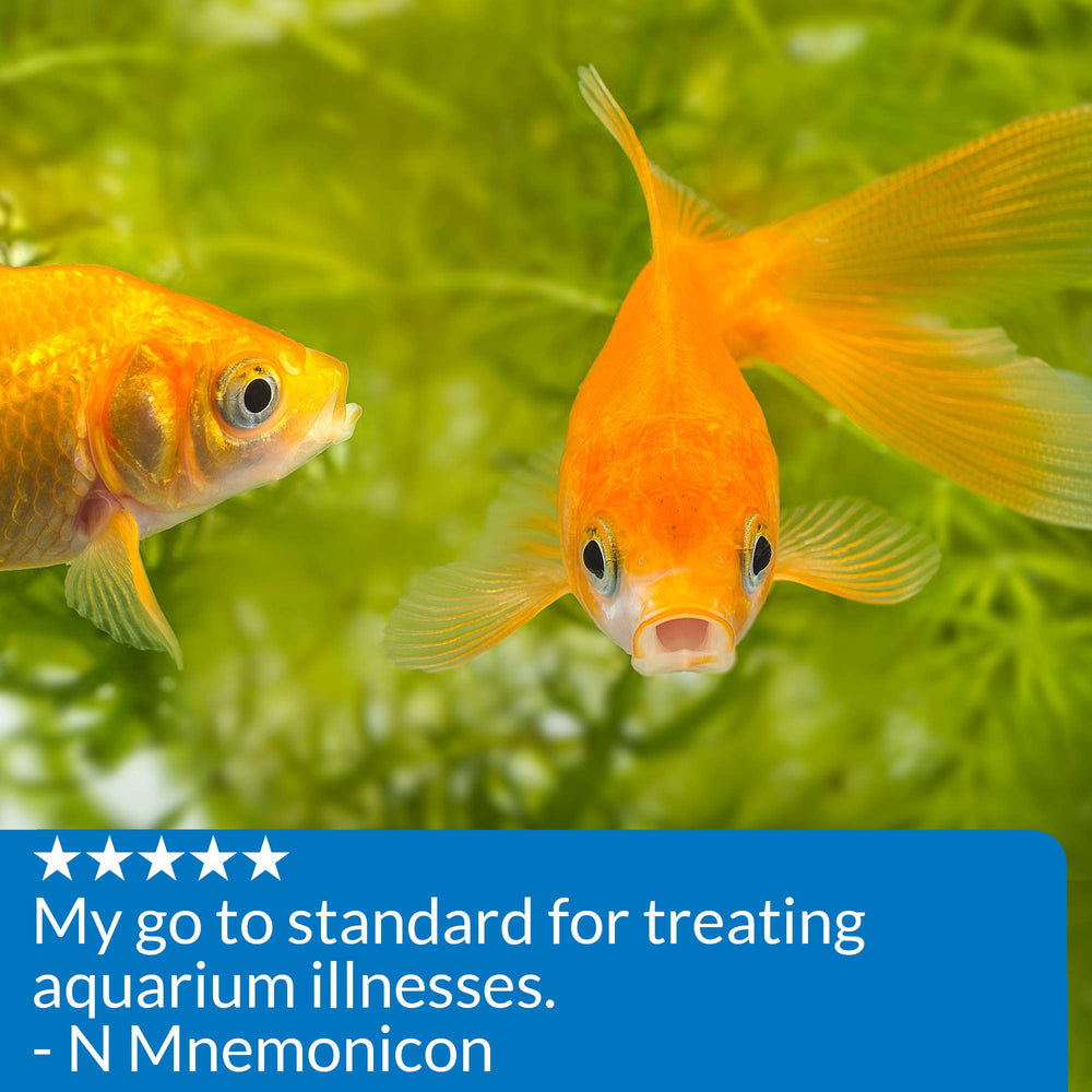 API Pimafix recomendado-peces-delicados: adecuado para tetras, discus y otros.