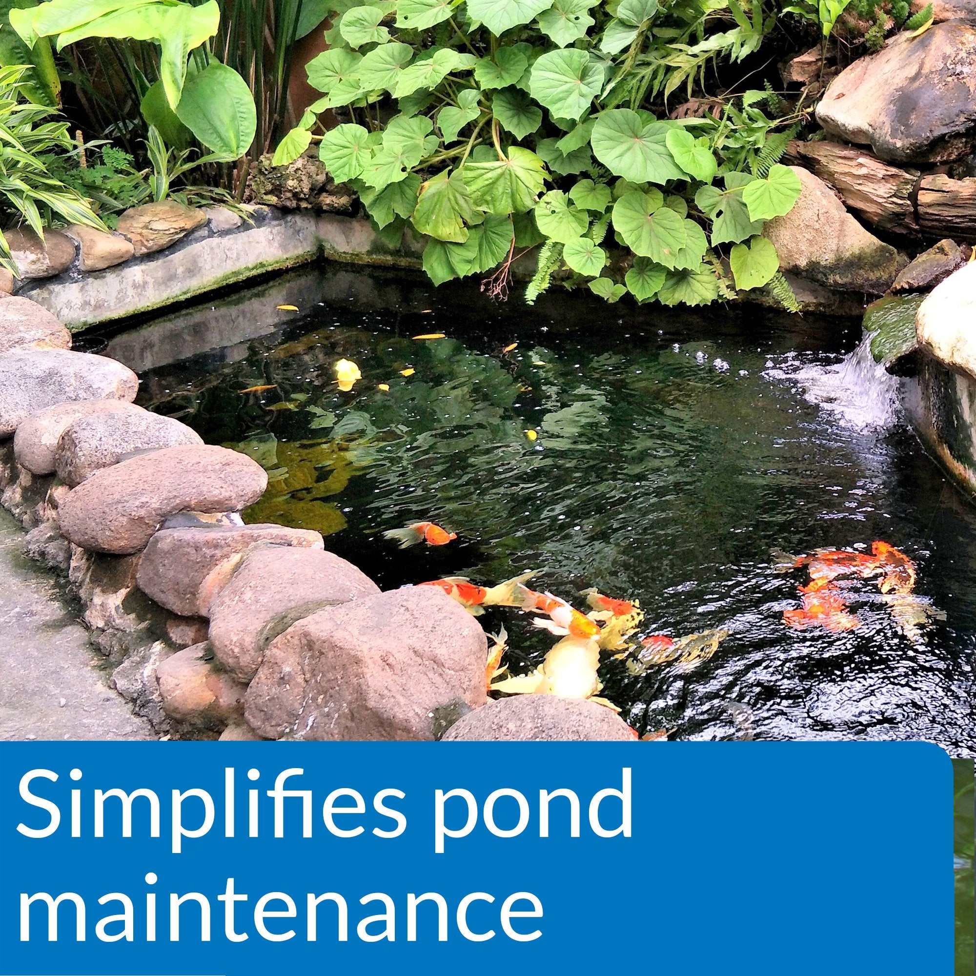 API Pond EcoFix Destructor de lodo, ingredientes naturales para descomponer residuos del estanque.