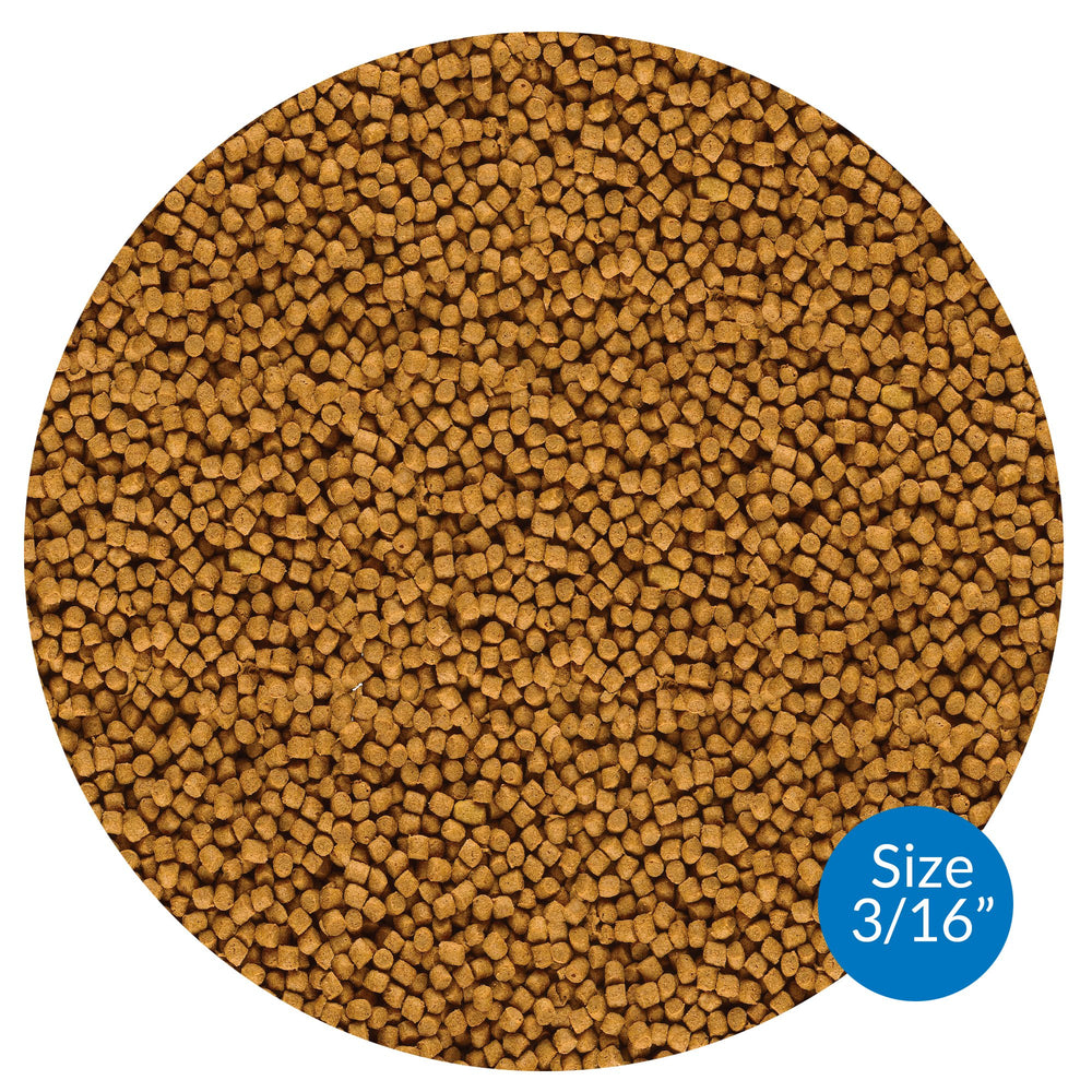 API Pond Fish Food pellets de alta proteína para crecimiento saludable de peces.